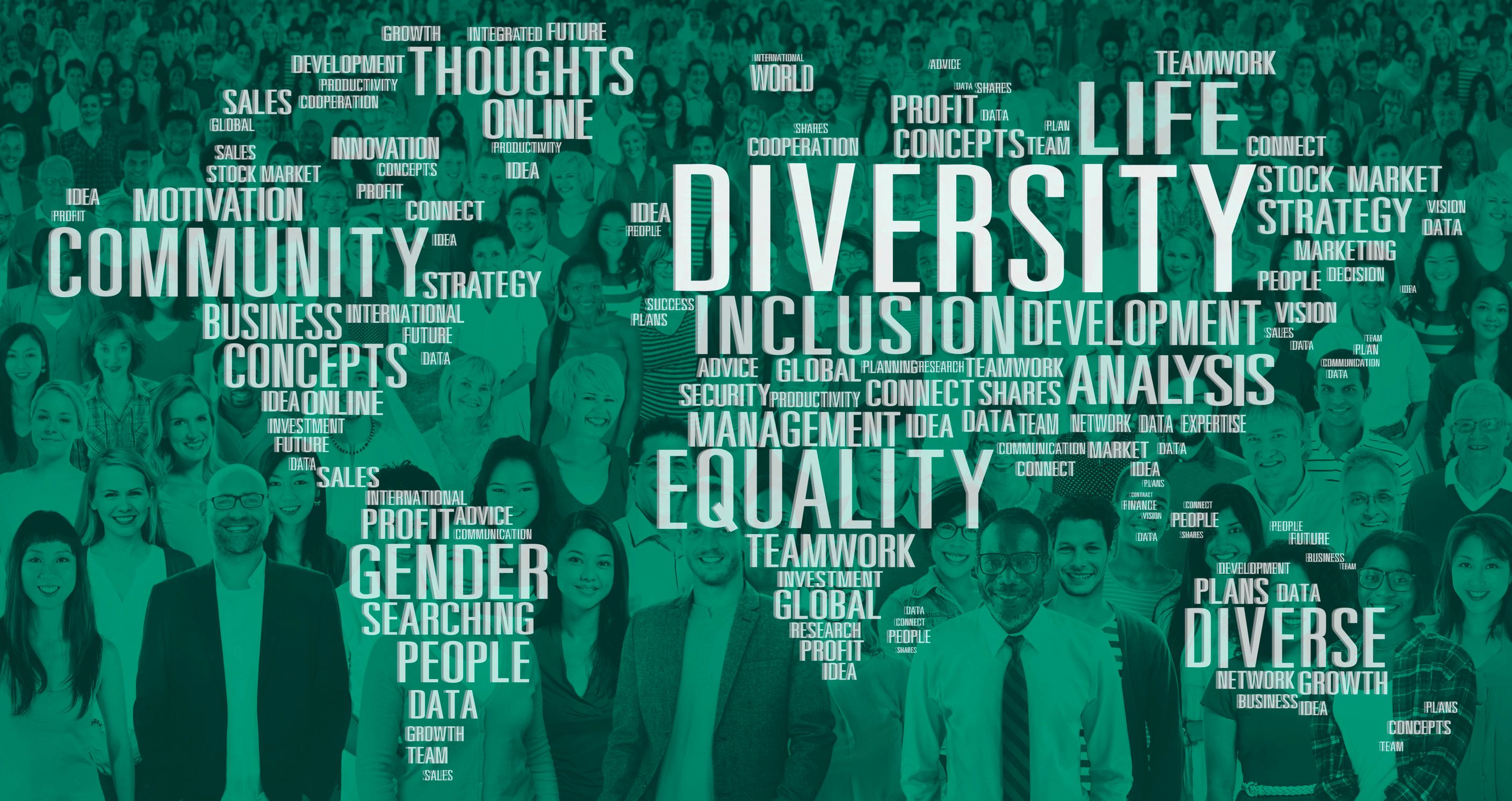 A word cloud image of Diversity